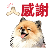 875427172