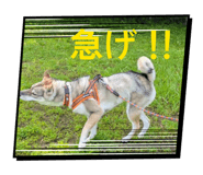875435082
