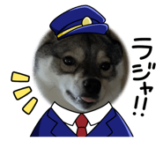 875435088
