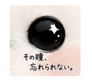875436686