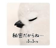 875436692