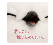 875436699