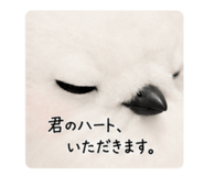 875436702