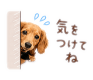 875450629