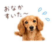 875450640