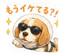 875452271