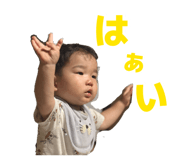 875452753