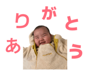 875456155