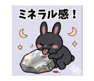 875456202