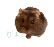 875469769