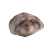 875469774