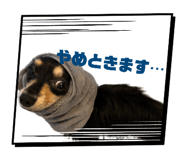 875470512