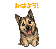 875494305