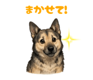 875494308