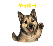 875494321