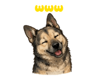 875494324