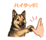 875494340