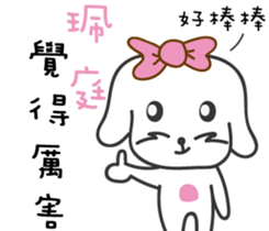 87551269