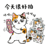 875515396