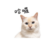 875536657