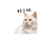 875536658