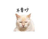875536661