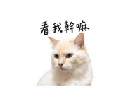 875536662