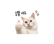 875536665
