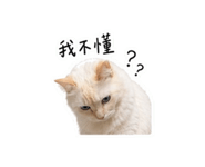 875536667