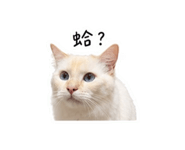 875536668
