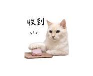 875536671