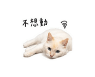 875536673
