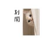 875536675