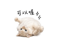 875536676
