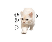 875536678