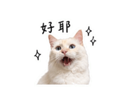 875536679
