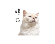 875536680