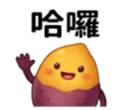 875537004