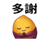 875537006