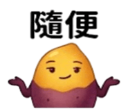875537007
