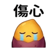 875537010