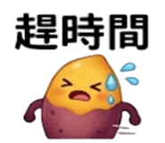 875537013