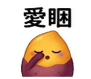875537018