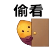 875537023