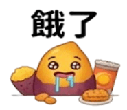 875537027