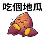 875537300