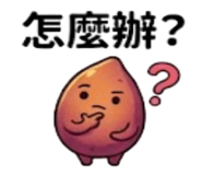 875537315