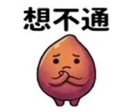 875537316