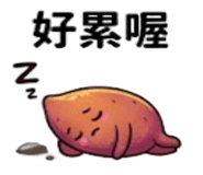 875537317