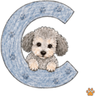 875541323